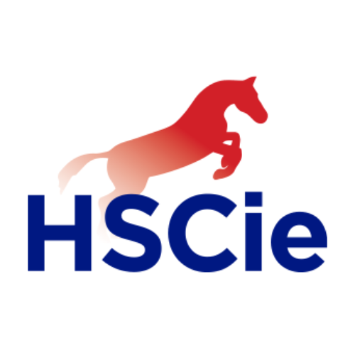 Hübner Schlösser & Cie logo